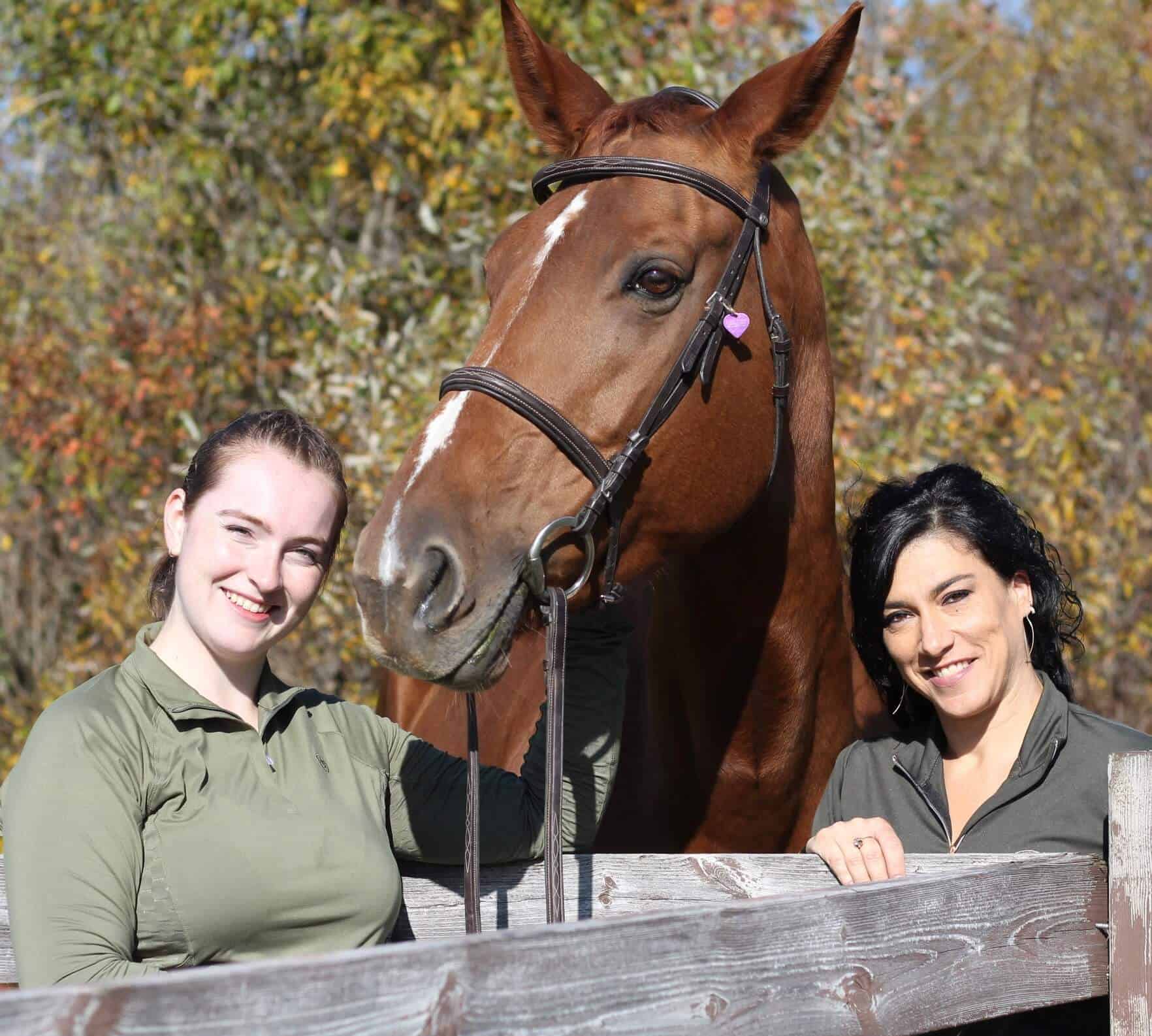 Introduction au Droit Équin